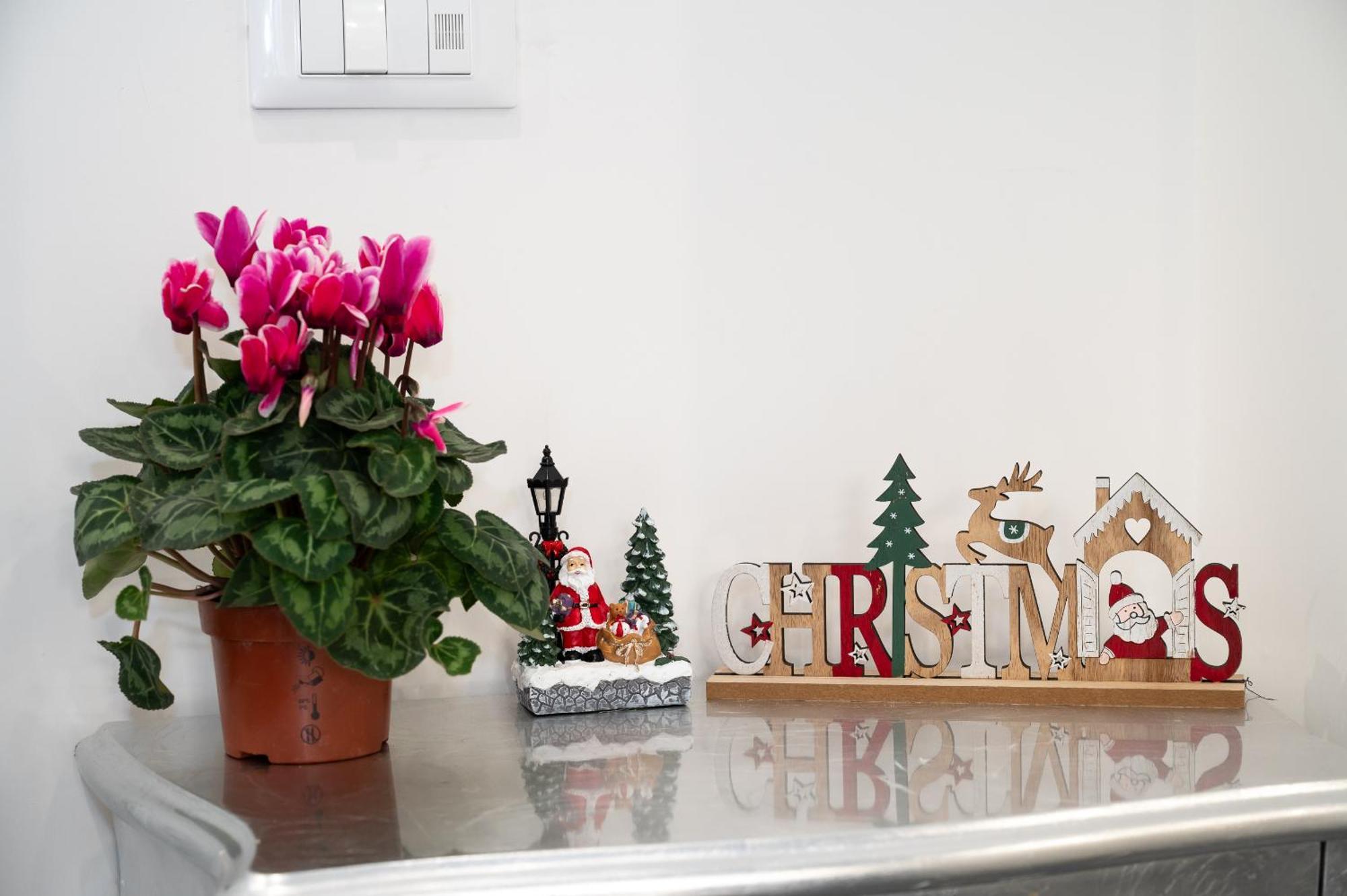 St. Peter Boutique Apt โรม ภายนอก รูปภาพ